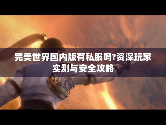 完美世界国内版有私服吗?资深玩家实测与安全攻略