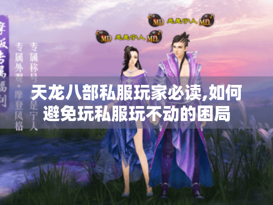 天龙八部私服玩家必读,如何避免玩私服玩不动的困局