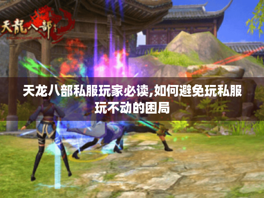 天龙八部私服玩家必读,如何避免玩私服玩不动的困局