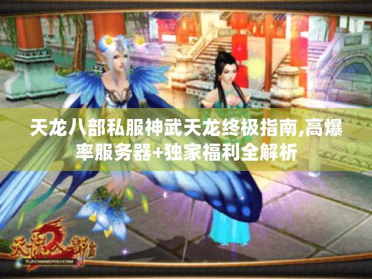 天龙八部私服神武天龙终极指南,高爆率服务器+独家福利全解析 天龙八部私服神武天龙终极指南,高爆率服务器+独家福利全解析