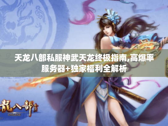 天龙八部私服神武天龙终极指南,高爆率服务器+独家福利全解析 天龙八部私服神武天龙终极指南,高爆率服务器+独家福利全解析
