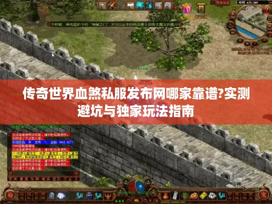 传奇世界血煞私服发布网哪家靠谱?实测避坑与独家玩法指南