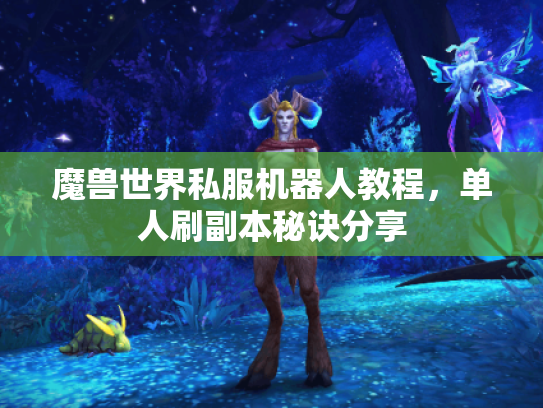 魔兽世界私服机器人教程，单人刷副本秘诀分享