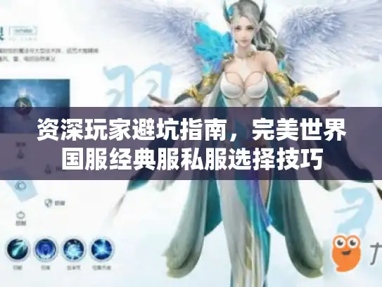 资深玩家避坑指南，完美世界国服经典服私服选择技巧