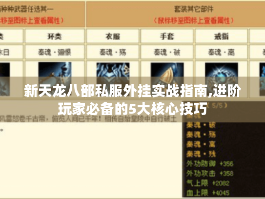 新天龙八部私服外挂实战指南,进阶玩家必备的5大核心技巧 新天龙八部私服外挂实战指南,进阶玩家必备的5大核心技巧