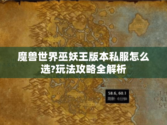 魔兽世界巫妖王版本私服怎么选?玩法攻略全解析 魔兽世界巫妖王版本私服怎么选?玩法攻略全解析