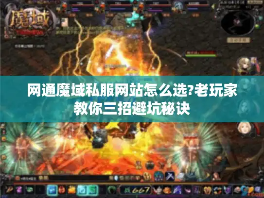网通魔域私服网站怎么选?老玩家教你三招避坑秘诀