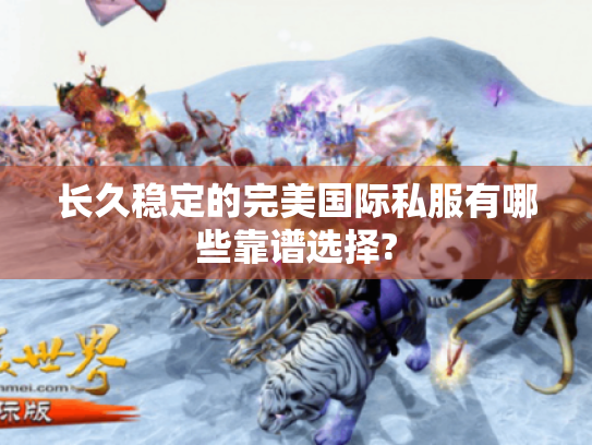 长久稳定的完美国际私服有哪些靠谱选择? 长久稳定的完美国际私服有哪些靠谱选择?