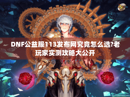 DNF公益服113发布网究竟怎么选?老玩家实测攻略大公开