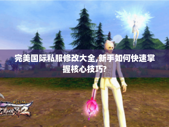 完美国际私服修改大全,新手如何快速掌握核心技巧? 完美国际私服修改大全,新手如何快速掌握核心技巧?