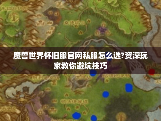 魔兽世界怀旧服官网私服怎么选?资深玩家教你避坑技巧 魔兽世界怀旧服官网私服怎么选?资深玩家教你避坑技巧