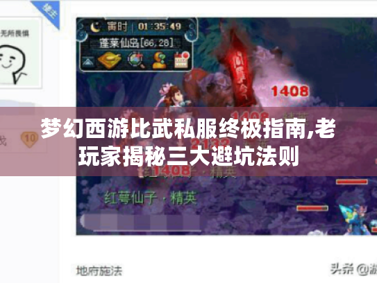 梦幻西游比武私服终极指南,老玩家揭秘三大避坑法则 梦幻西游比武私服终极指南,老玩家揭秘三大避坑法则
