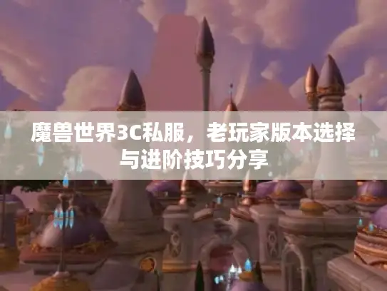 魔兽世界3C私服，老玩家版本选择与进阶技巧分享