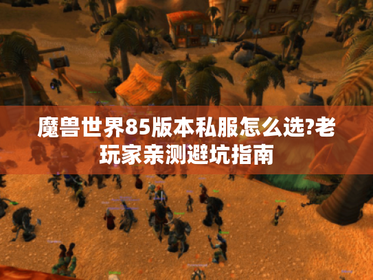 魔兽世界85版本私服怎么选?老玩家亲测避坑指南
