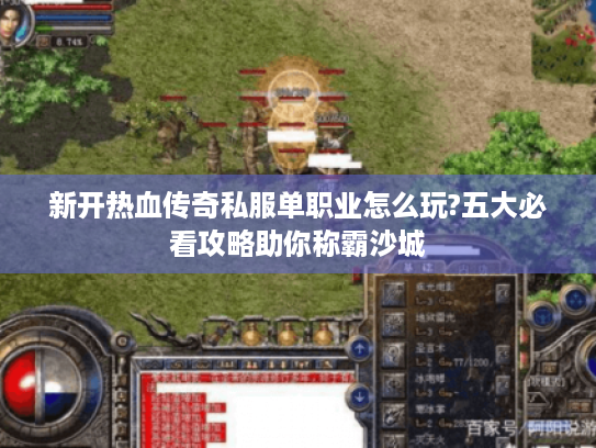 新开热血传奇私服单职业怎么玩?五大必看攻略助你称霸沙城 新开热血传奇私服单职业怎么玩?五大必看攻略助你称霸沙城
