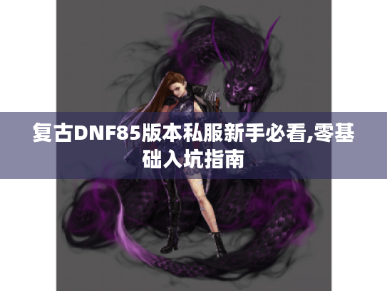 复古DNF85版本私服新手必看,零基础入坑指南 复古DNF85版本私服新手必看,零基础入坑指南