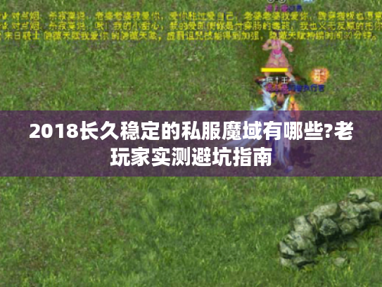 2018长久稳定的私服魔域有哪些?老玩家实测避坑指南