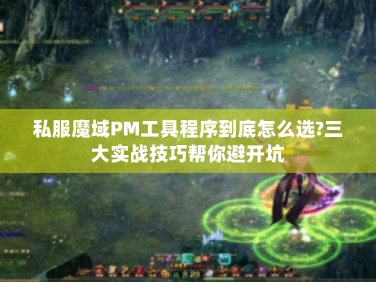 私服魔域PM工具程序到底怎么选?三大实战技巧帮你避开坑 私服魔域PM工具程序到底怎么选?三大实战技巧帮你避开坑