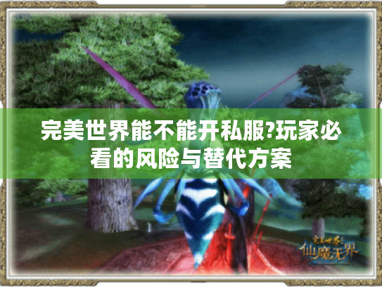 完美世界能不能开私服?玩家必看的风险与替代方案