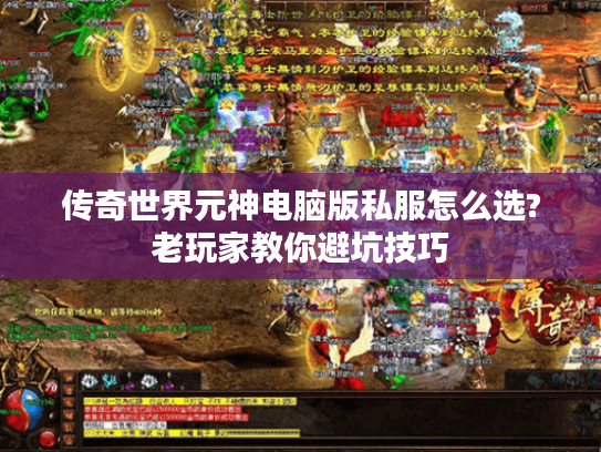传奇世界元神电脑版私服怎么选?老玩家教你避坑技巧