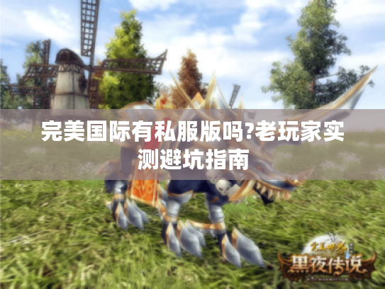 完美国际有私服版吗?老玩家实测避坑指南 完美国际有私服版吗?老玩家实测避坑指南