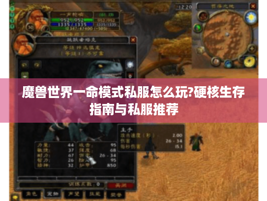 魔兽世界一命模式私服怎么玩?硬核生存指南与私服推荐