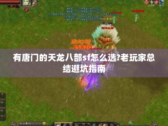 有唐门的天龙八部sf怎么选?老玩家总结避坑指南 有唐门的天龙八部sf怎么选?老玩家总结避坑指南