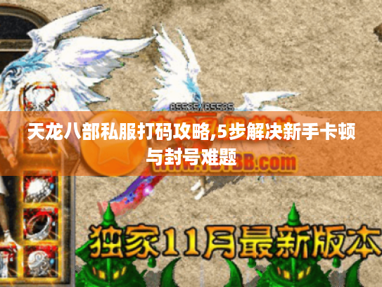 天龙八部私服打码攻略,5步解决新手卡顿与封号难题 天龙八部私服打码攻略,5步解决新手卡顿与封号难题