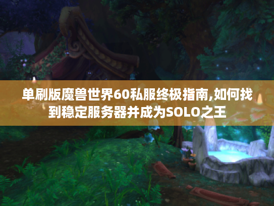 单刷版魔兽世界60私服终极指南,如何找到稳定服务器并成为SOLO之王