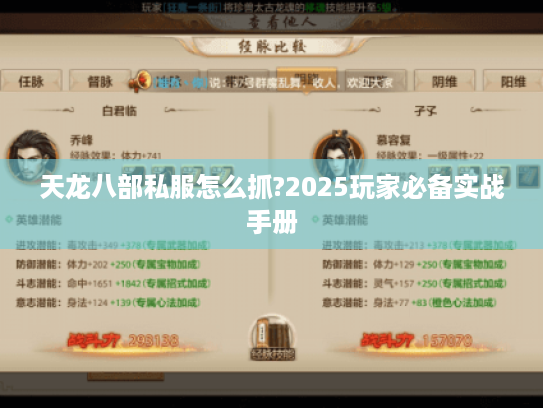 天龙八部私服怎么抓?2025玩家必备实战手册 天龙八部私服怎么抓?2025玩家必备实战手册