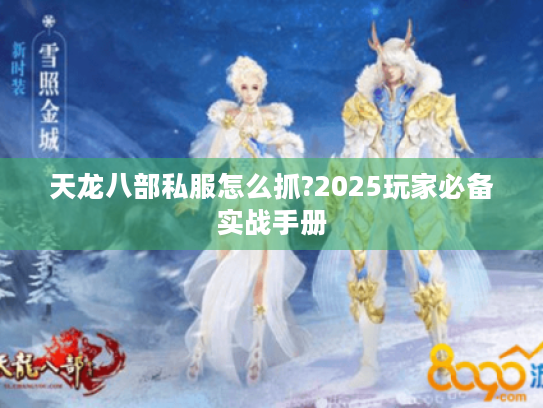 天龙八部私服怎么抓?2025玩家必备实战手册 天龙八部私服怎么抓?2025玩家必备实战手册
