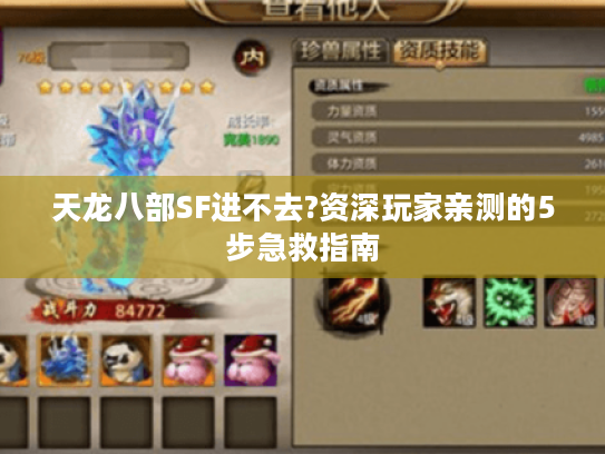 天龙八部SF进不去?资深玩家亲测的5步急救指南 天龙八部SF进不去?资深玩家亲测的5步急救指南