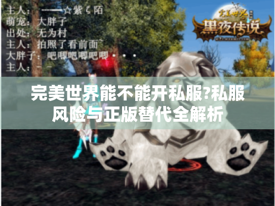 完美世界能不能开私服?私服风险与正版替代全解析 完美世界能不能开私服?私服风险与正版替代全解析