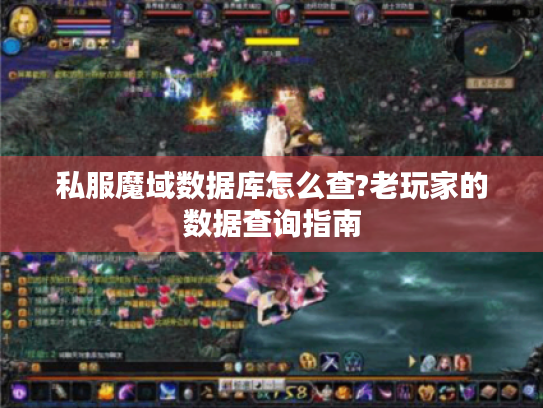 私服魔域数据库怎么查?老玩家的数据查询指南