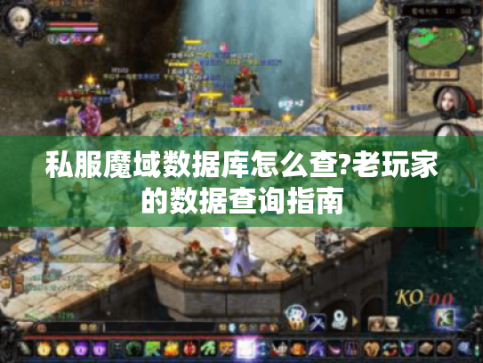 私服魔域数据库怎么查?老玩家的数据查询指南