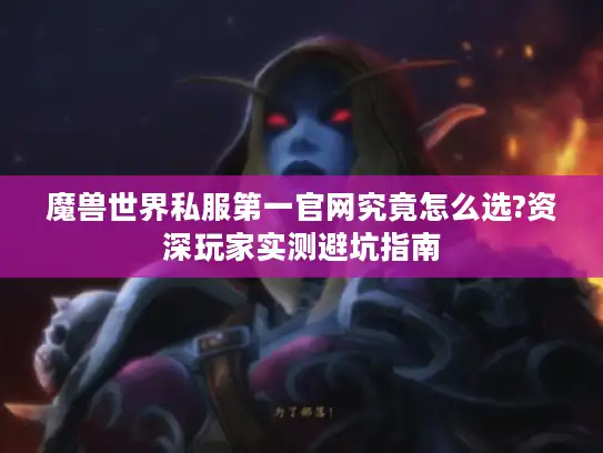 魔兽世界私服第一官网究竟怎么选?资深玩家实测避坑指南