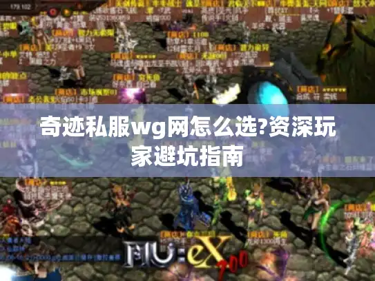 奇迹私服wg网怎么选?资深玩家避坑指南