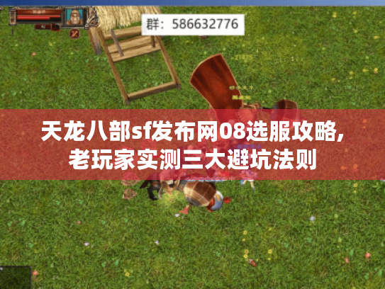天龙八部sf发布网08选服攻略,老玩家实测三大避坑法则
