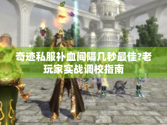 奇迹私服补血间隔几秒最佳?老玩家实战调校指南 奇迹私服补血间隔几秒最佳?老玩家实战调校指南