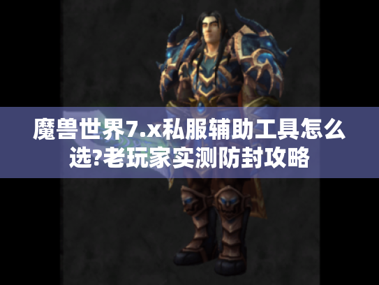 魔兽世界7.x私服辅助工具怎么选?老玩家实测防封攻略