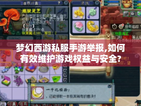 梦幻西游私服手游举报,如何有效维护游戏权益与安全? 梦幻西游私服手游举报,如何有效维护游戏权益与安全?