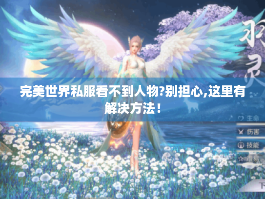 完美世界私服看不到人物?别担心,这里有解决方法！