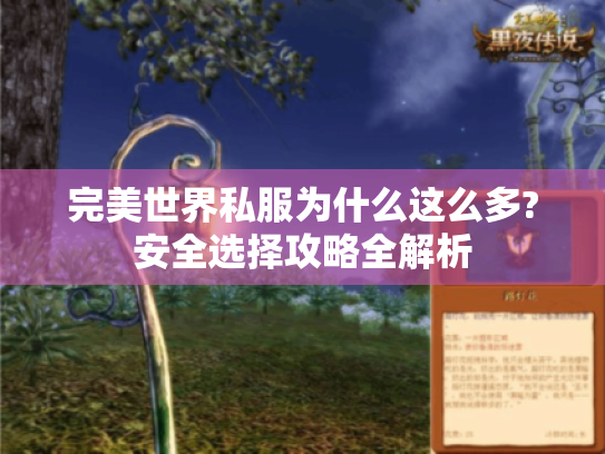 完美世界私服为什么这么多?安全选择攻略全解析 完美世界私服为什么这么多?安全选择攻略全解析