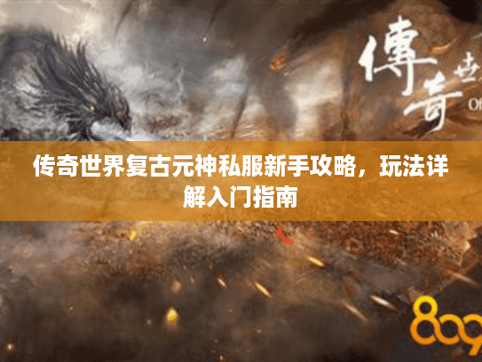 传奇世界复古元神私服新手攻略，玩法详解入门指南