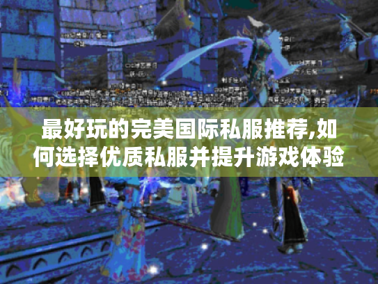 最好玩的完美国际私服推荐,如何选择优质私服并提升游戏体验? 最好玩的完美国际私服推荐,如何选择优质私服并提升游戏体验?