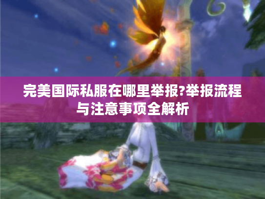 完美国际私服在哪里举报?举报流程与注意事项全解析 完美国际私服在哪里举报?举报流程与注意事项全解析