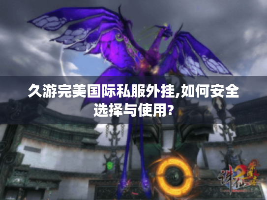 久游完美国际私服外挂,如何安全选择与使用? 久游完美国际私服外挂,如何安全选择与使用?