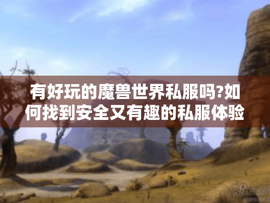 有好玩的魔兽世界私服吗?如何找到安全又有趣的私服体验 有好玩的魔兽世界私服吗?如何找到安全又有趣的私服体验