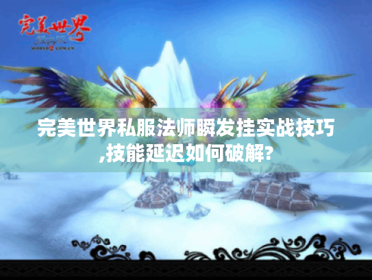完美世界私服法师瞬发挂实战技巧,技能延迟如何破解? 完美世界私服法师瞬发挂实战技巧,技能延迟如何破解?