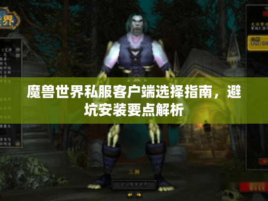 魔兽世界私服客户端选择指南，避坑安装要点解析